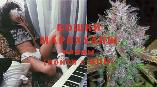 PSILOCYBIN Верхний Тагил