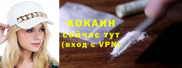 индика Бугульма
