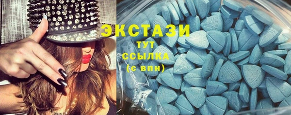 хмурый Верея