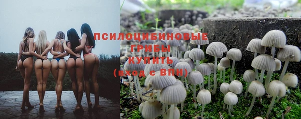 индика Бугульма