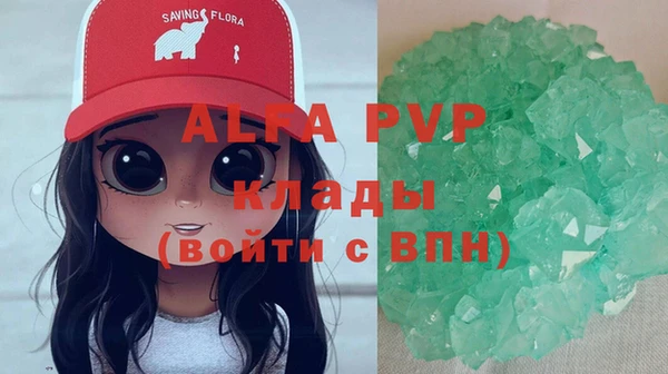 индика Бугульма