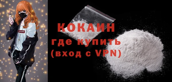 индика Бугульма