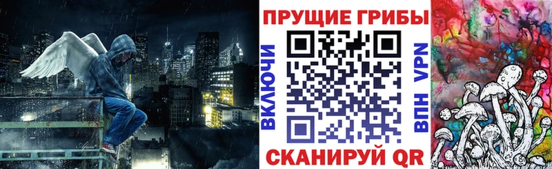 Галлюциногенные грибы MAGIC MUSHROOMS цены Гуково